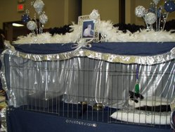 Fancy cat show benching area decorations