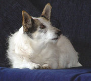 Broken coated JRT