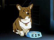 The dog, Ein