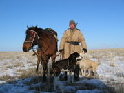 Kazakh shepherd; his and his dogs' primary job is to guard the sheep from predators.