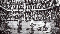 Rat Baiting Competition