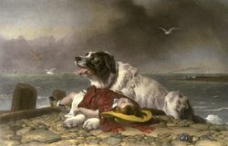 A Landseer painting of a Landseer Newfoundland.