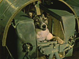 Laika could stand or lie down in her padded space capsule.
